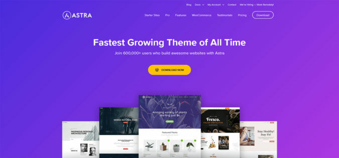 Astra Theme - offizielle Webseite